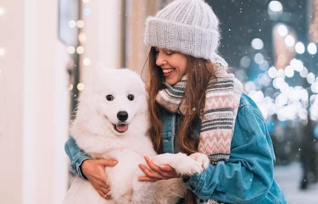 How to prevent cold in dogs?